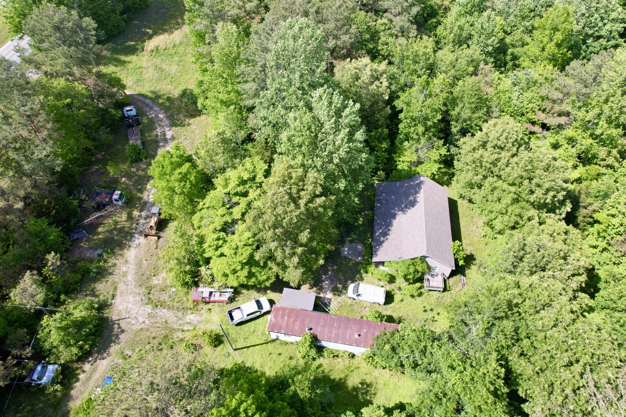 228 Henryville Road Ethridge, TN 38456 - Photo 14 of 55 a picture of trees