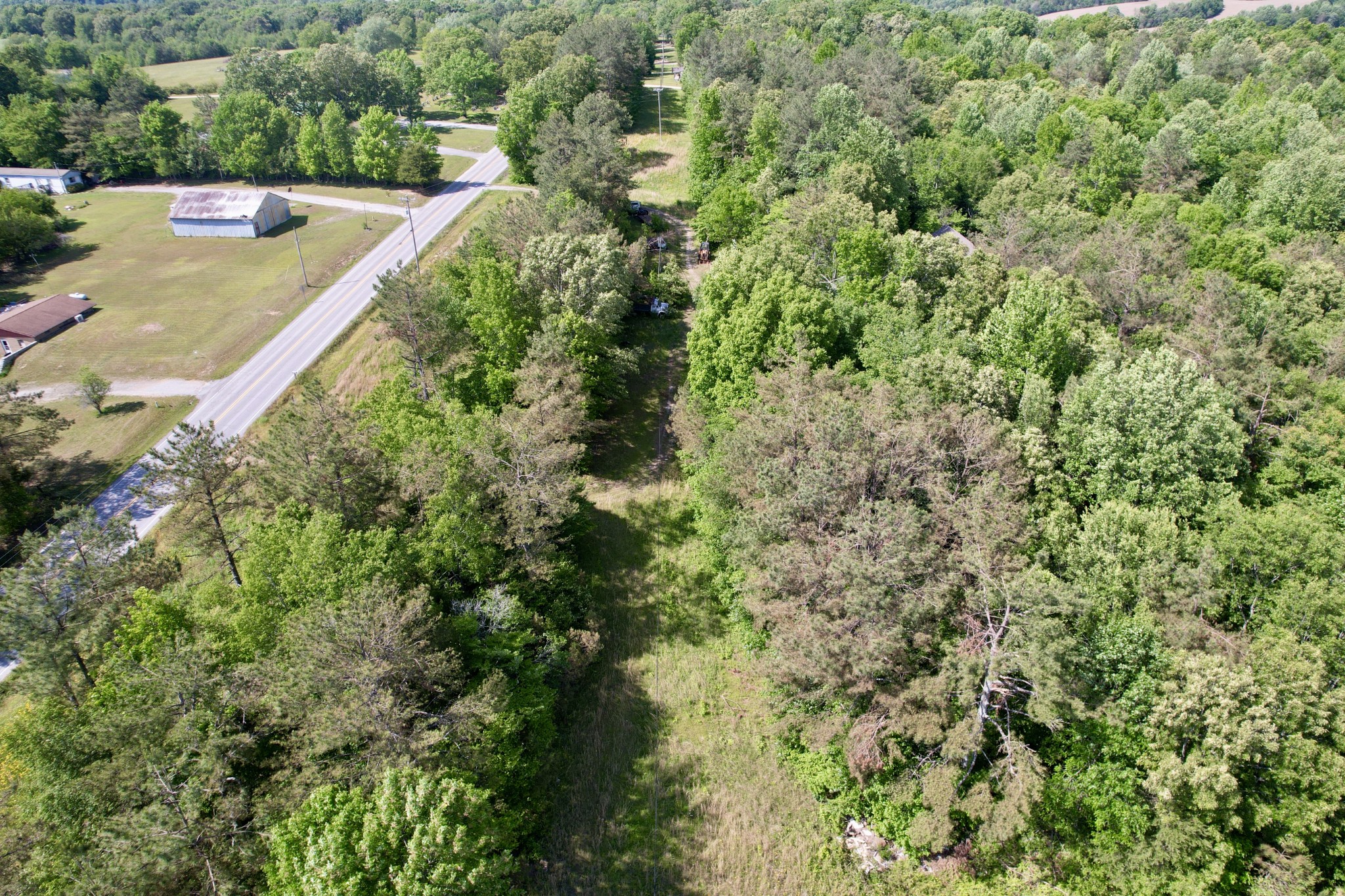 228 Henryville Road Ethridge, TN 38456 - Photo 29 of 55 a view of a yard with plants