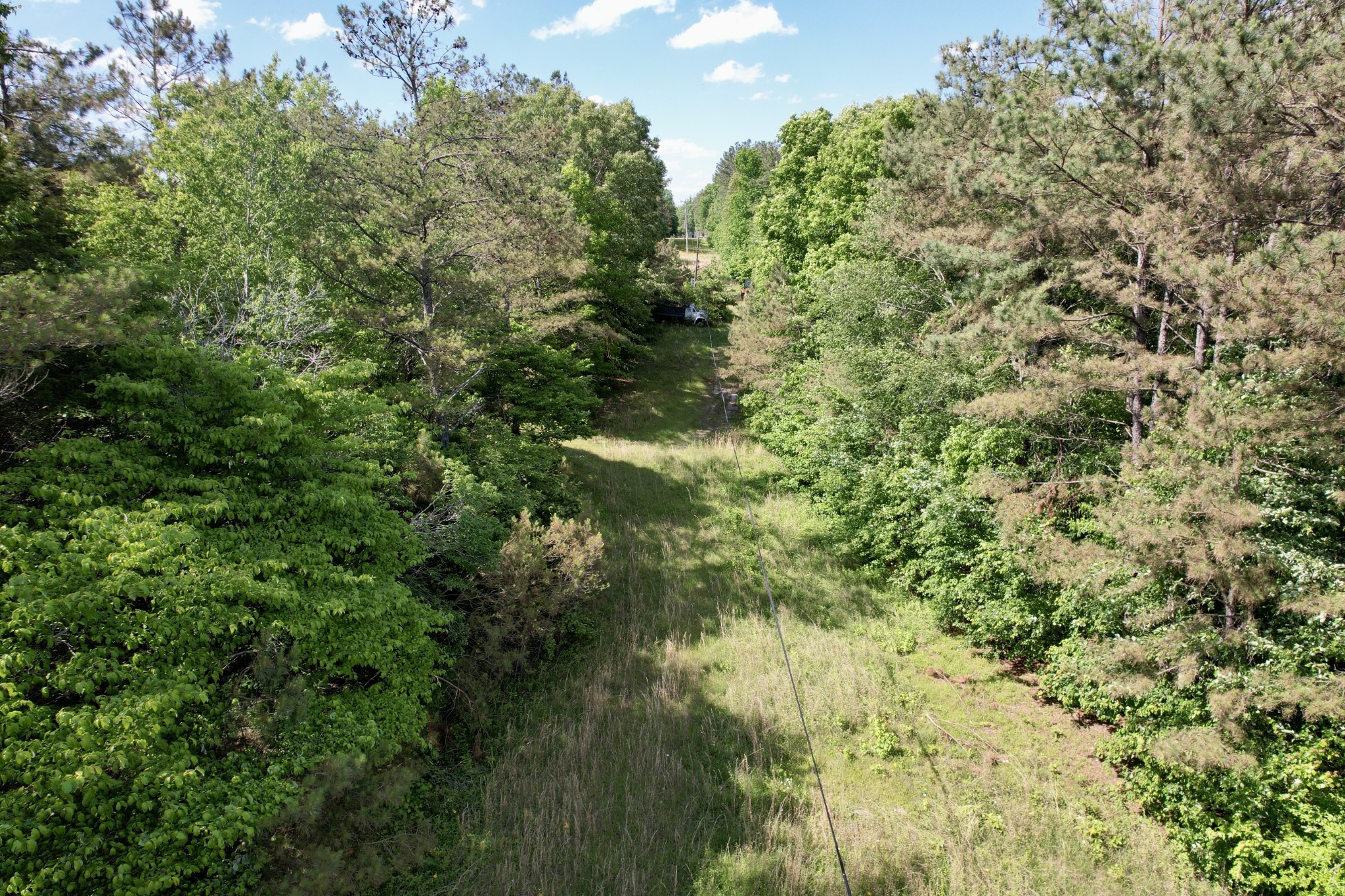 228 Henryville Road Ethridge, TN 38456 - Photo 30 of 55 a view of a yard