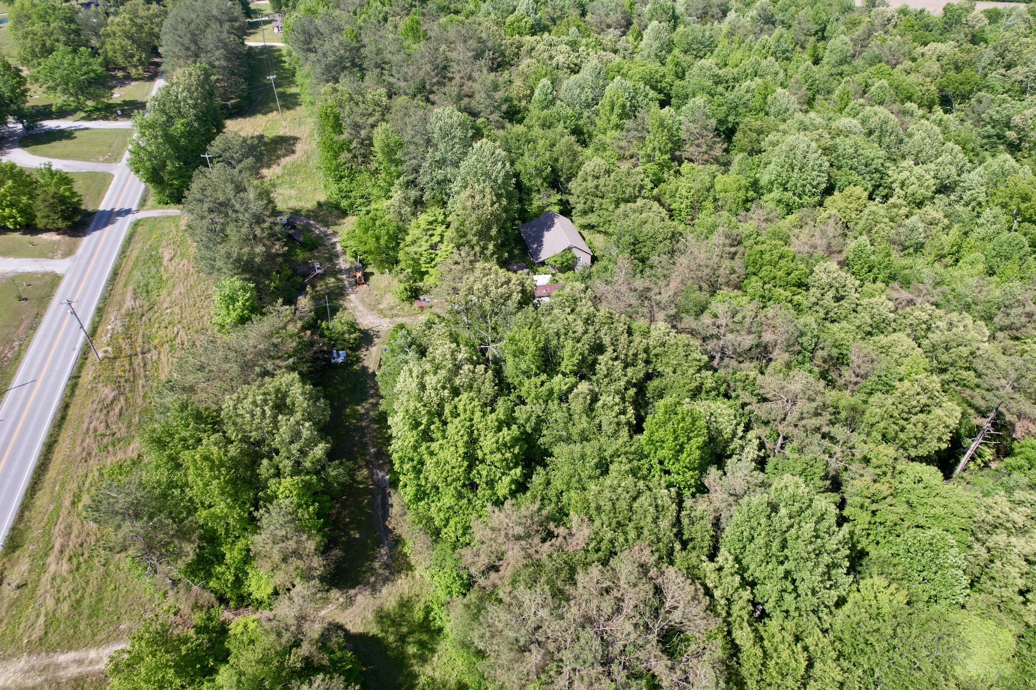 228 Henryville Road Ethridge, TN 38456 - Photo 32 of 55 a view of a forest with a tree