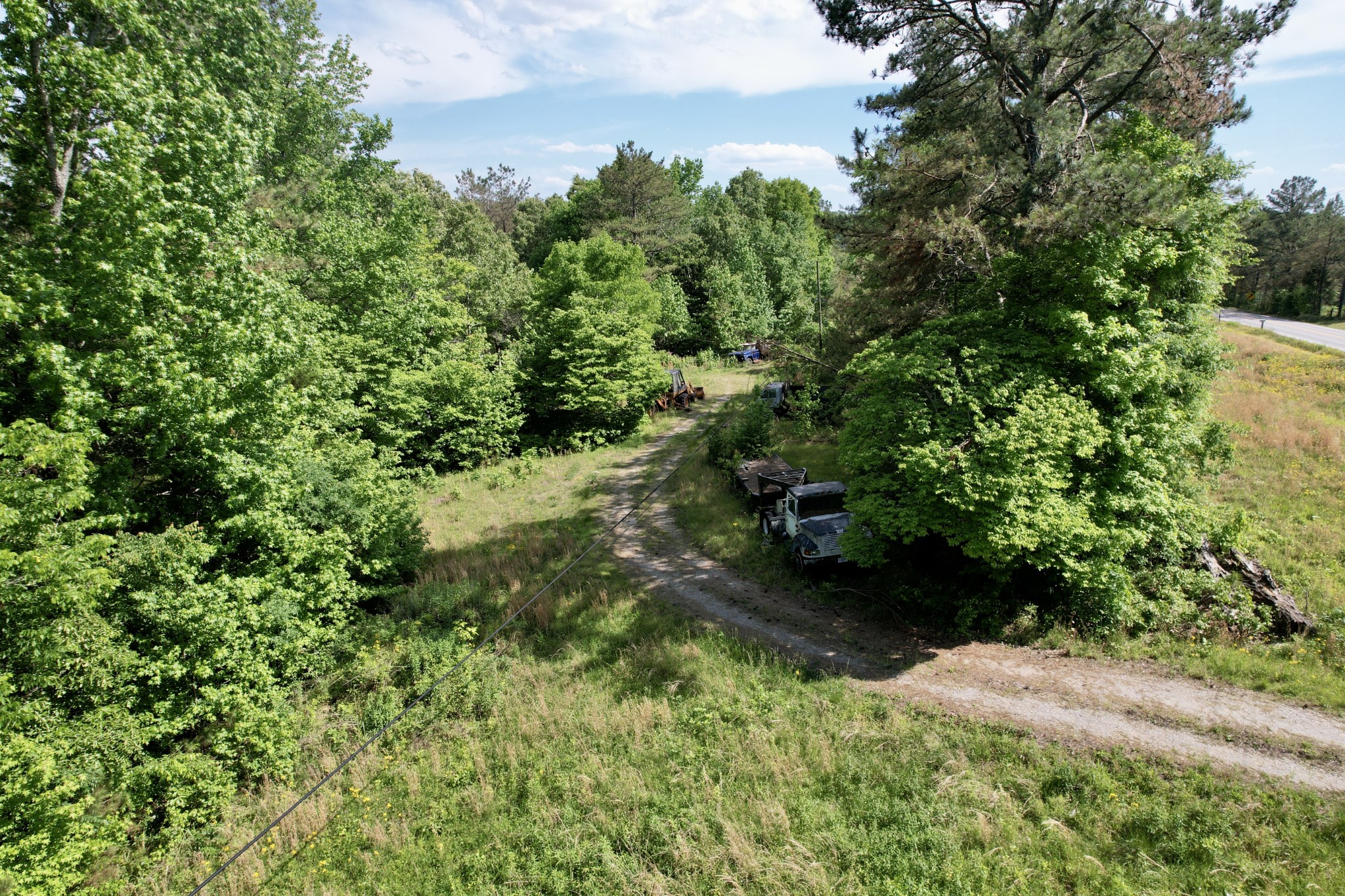 228 Henryville Road Ethridge, TN 38456 - Photo 37 of 55 a view of a garden with plants