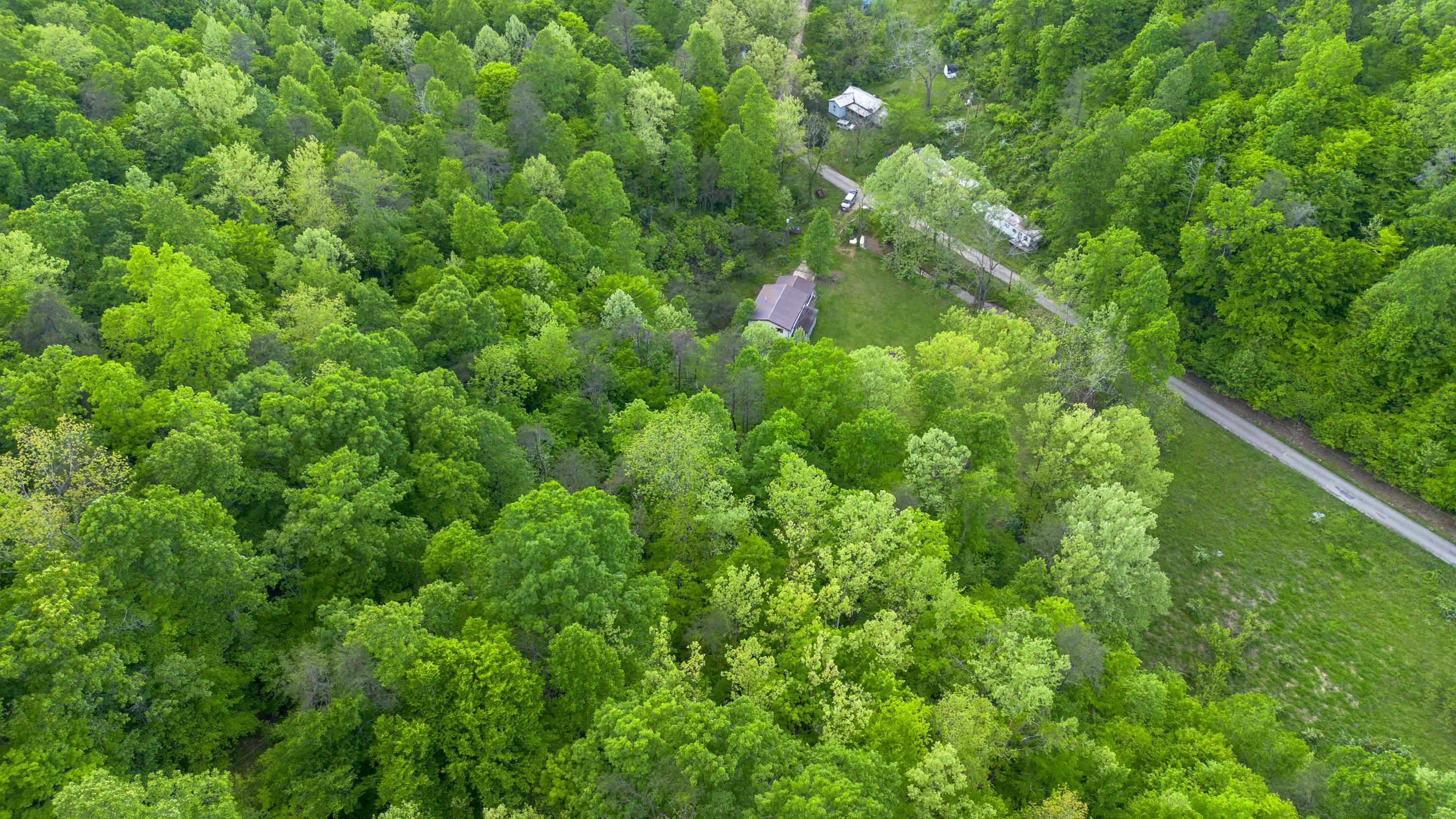 621 Nebo Road Catlettsburg, KY 41129 - Photo 6 of 15 Gallery Image 6
