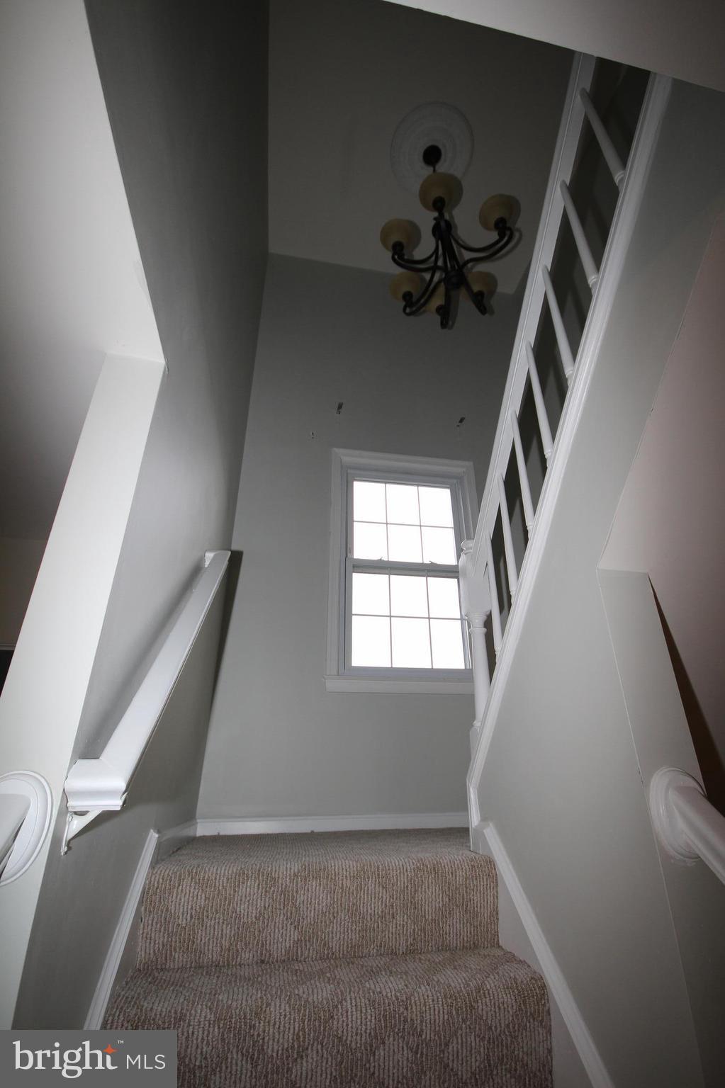 2902 Seminole Road Woodbridge, VA 22192 - Photo 21 of 30 carpet stairway