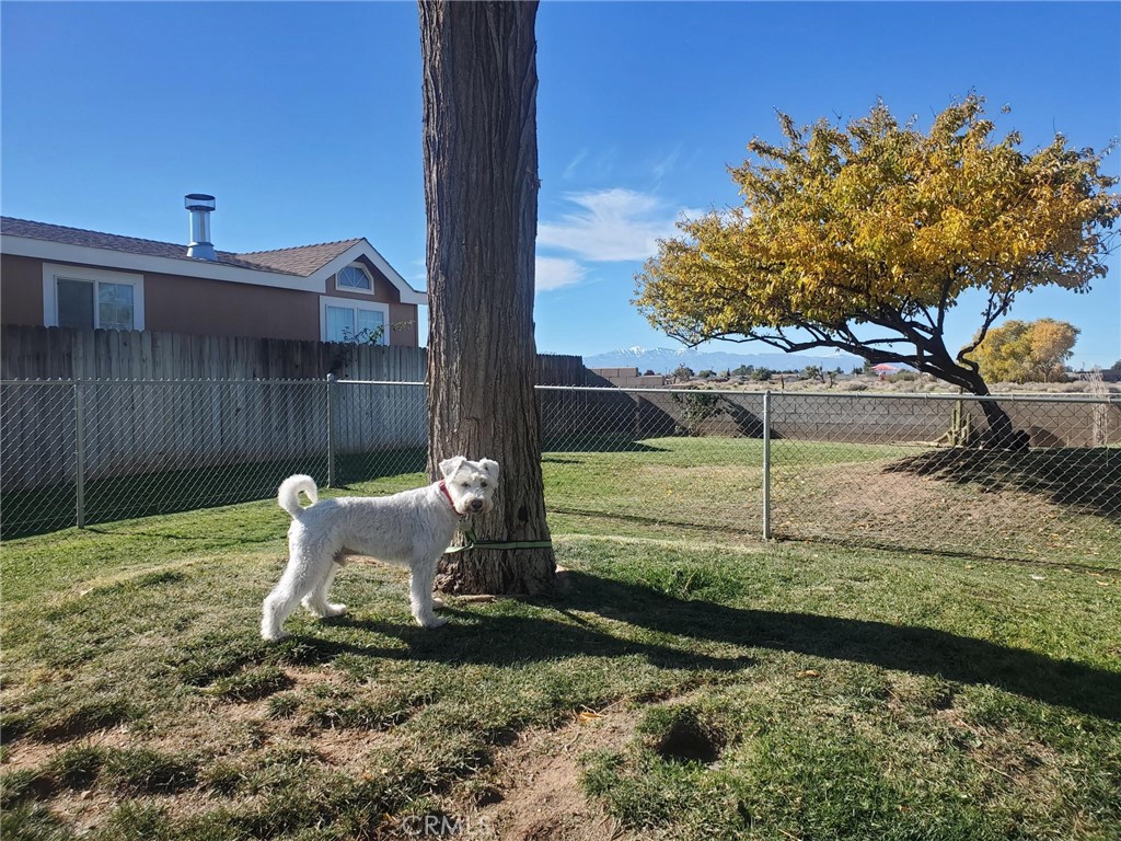 21621 Sandia Road, Unit 138 Apple Valley, CA 92308 - Photo 36 of 38 a view of a backyard with sitting area