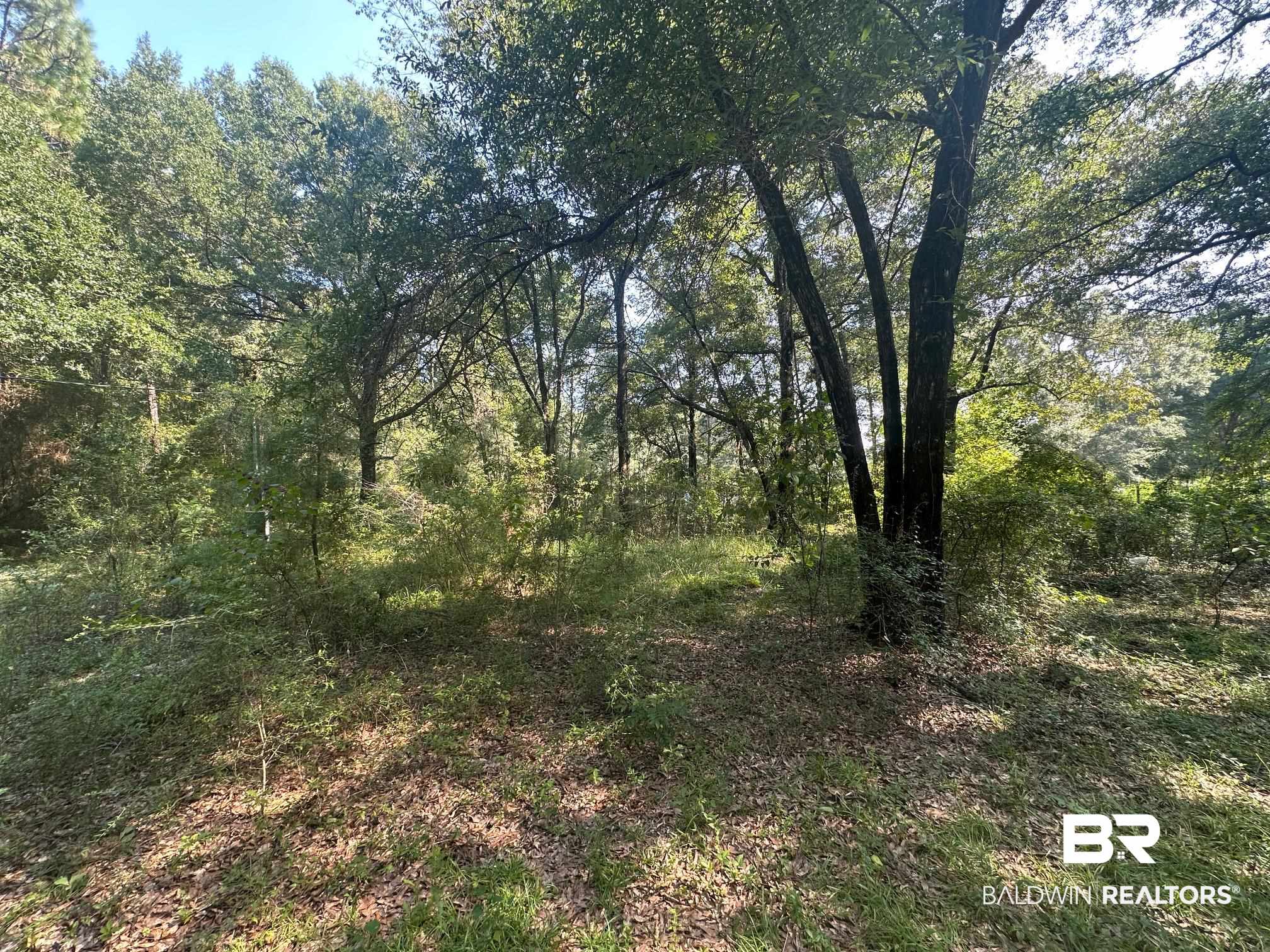 0 Danner Road East Wilmer, AL 36587 - Photo 11 of 13 View of tree filled area