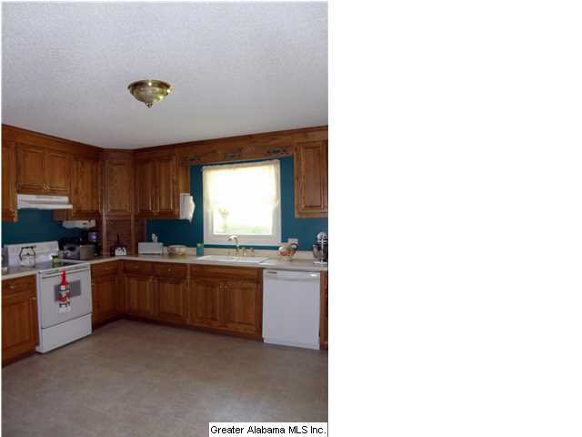 256 Overlook Drive Cleveland, AL 35049 - Photo 10 of 31