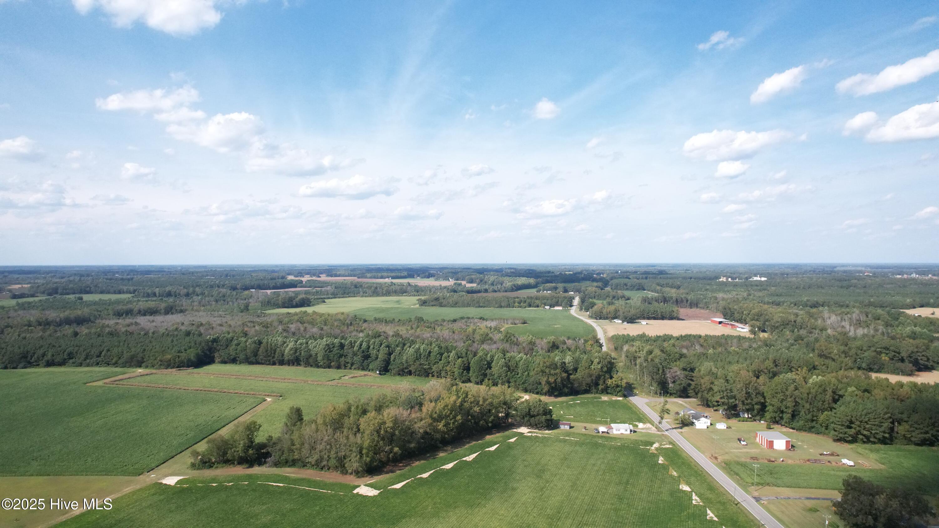 1612 Doolittle Mill Road Conway, NC 27820 - Photo 18 of 18 DJI_0596