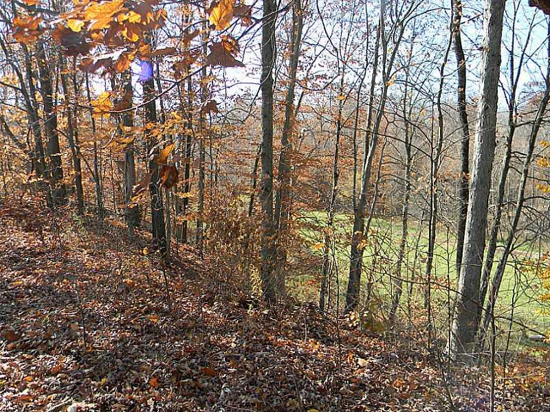 10227 Short Cut Road Cloverdale, IN 46120 - Photo 14 of 15 Gallery Image 14