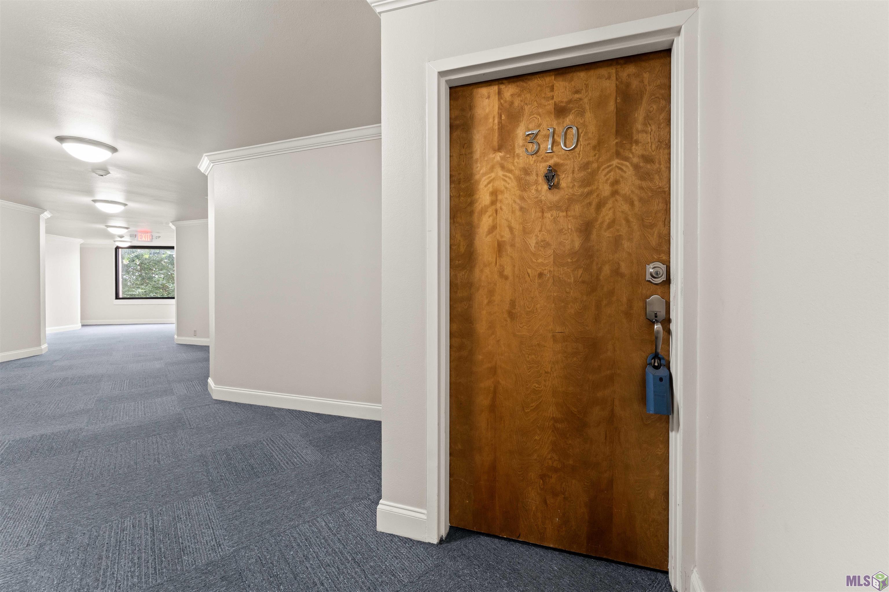 2045 North 3rd Street, Unit 310 Baton Rouge, LA 70802 - Photo 10 of 16