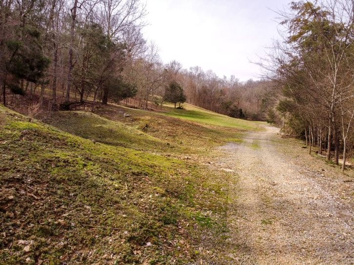 245 Buckeye Road Fayetteville, TN 37334 - Photo 22 of 36 Gallery Image 22