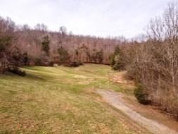 245 Buckeye Road Fayetteville, TN 37334 - Photo 24 of 36 Gallery Image 24