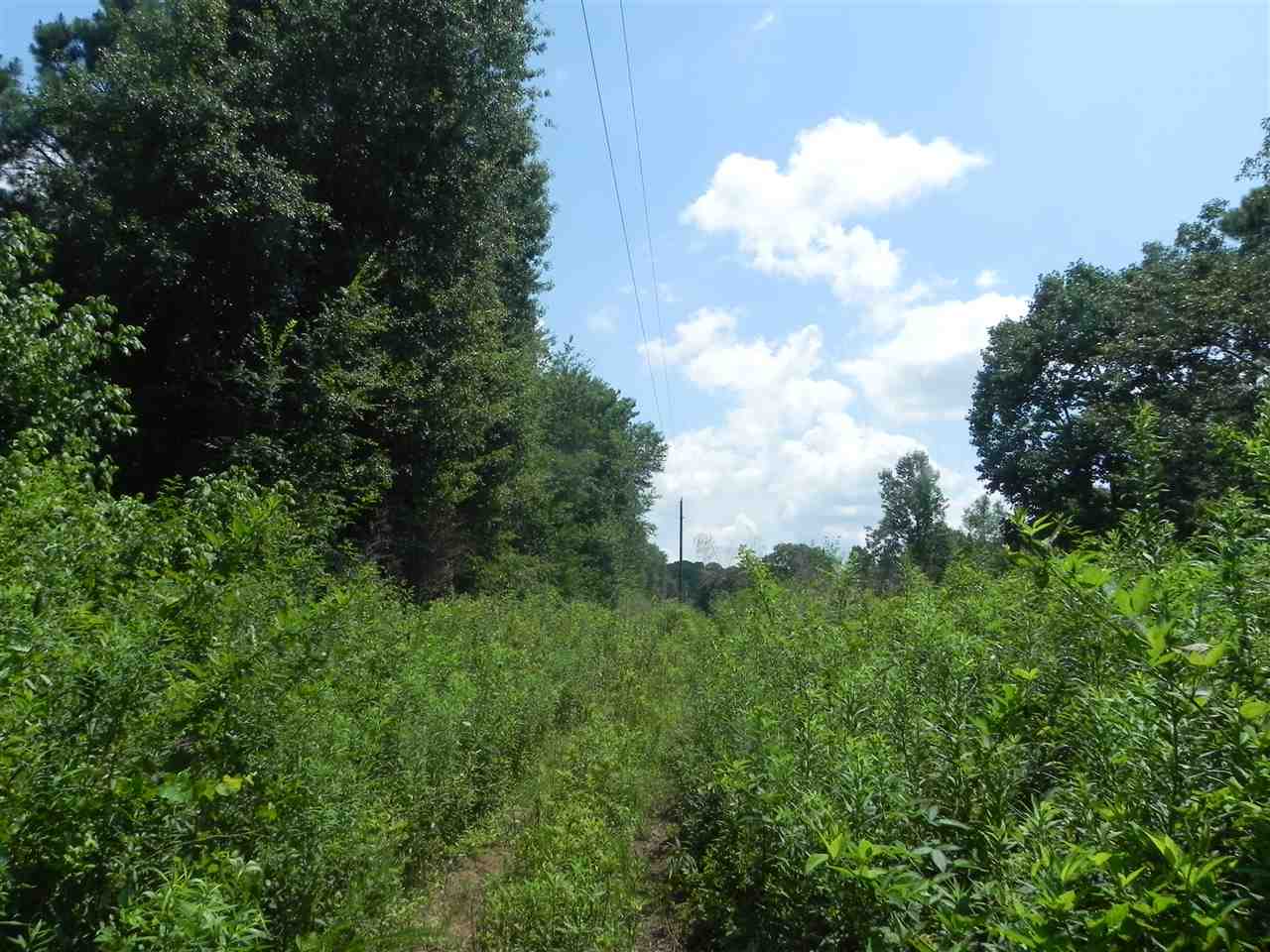Lot 18-1547 Price House Road Roebuck, SC 29376 - Photo 15 of 30