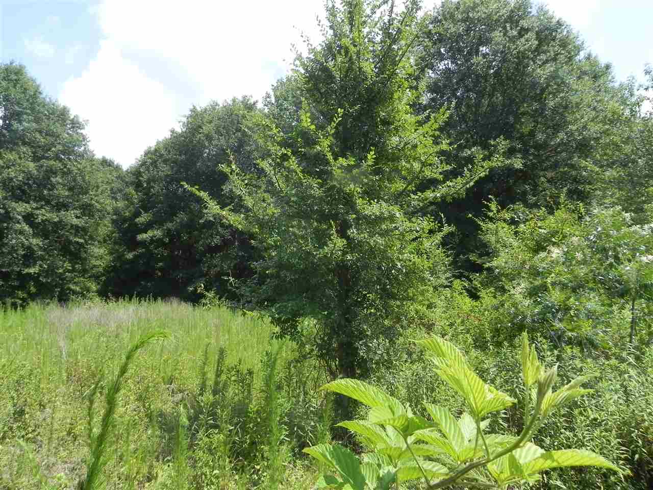 Lot 18-1547 Price House Road Roebuck, SC 29376 - Photo 21 of 30