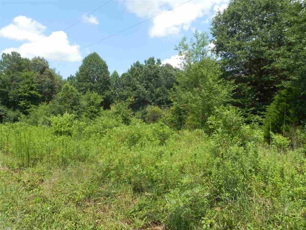 Lot 18-1547 Price House Road Roebuck, SC 29376 - Photo 24 of 30