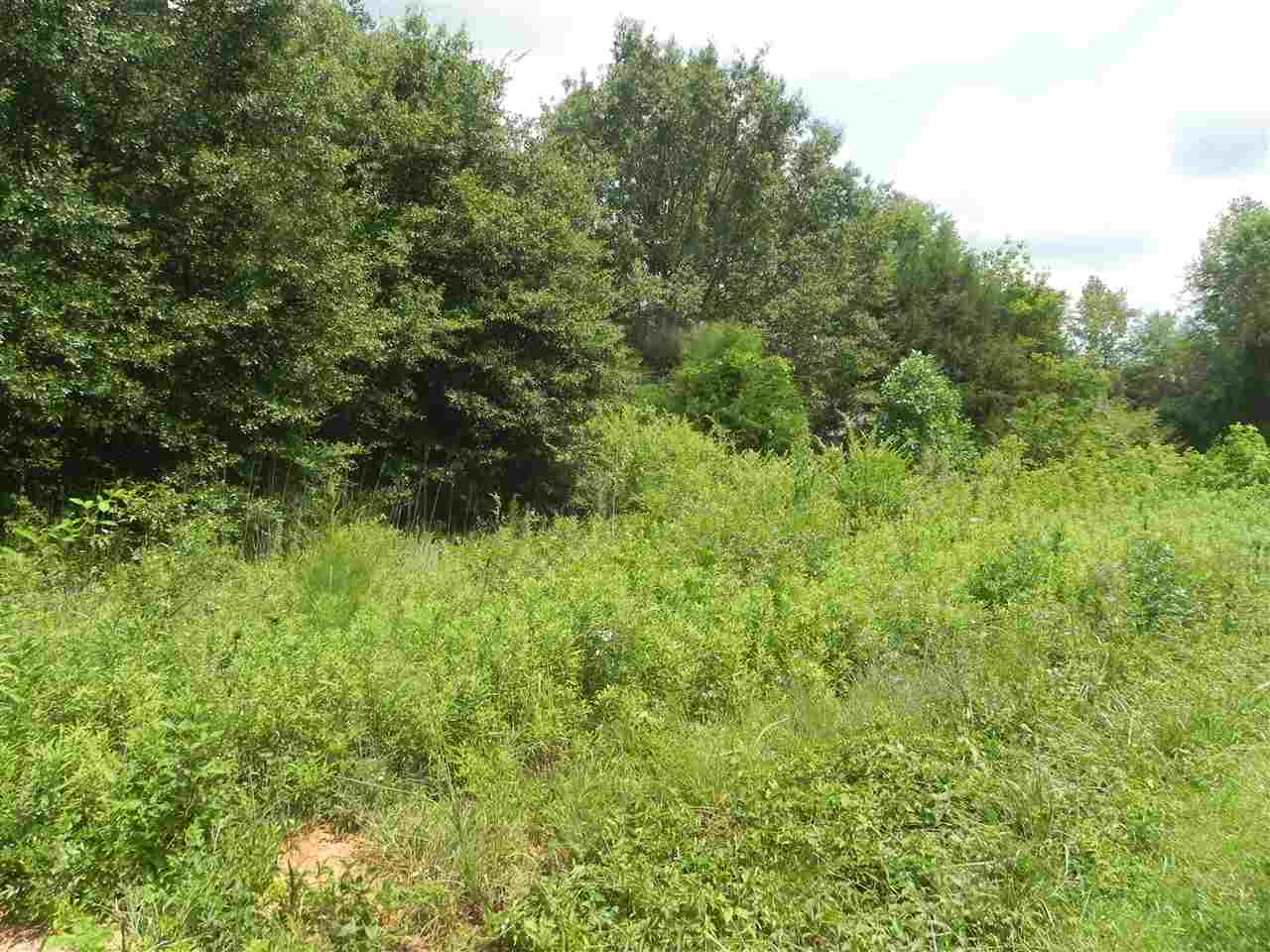 Lot 18-1547 Price House Road Roebuck, SC 29376 - Photo 26 of 30