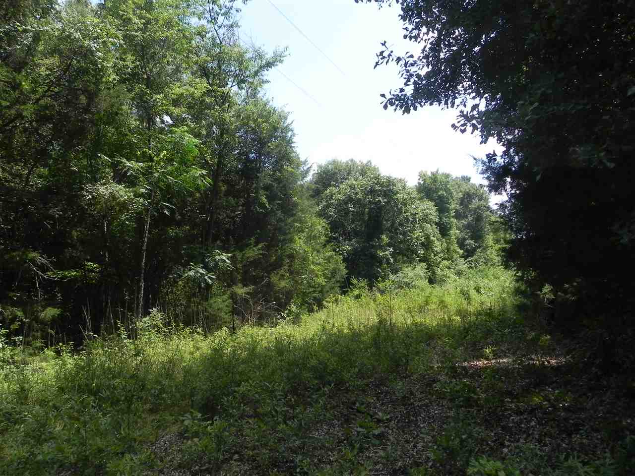 Lot 18-1547 Price House Road Roebuck, SC 29376 - Photo 4 of 30