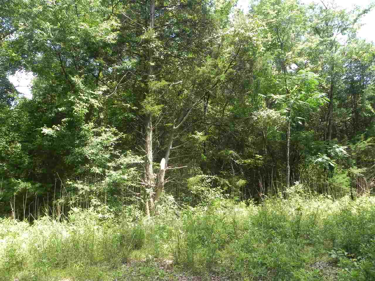 Lot 18-1547 Price House Road Roebuck, SC 29376 - Photo 5 of 30