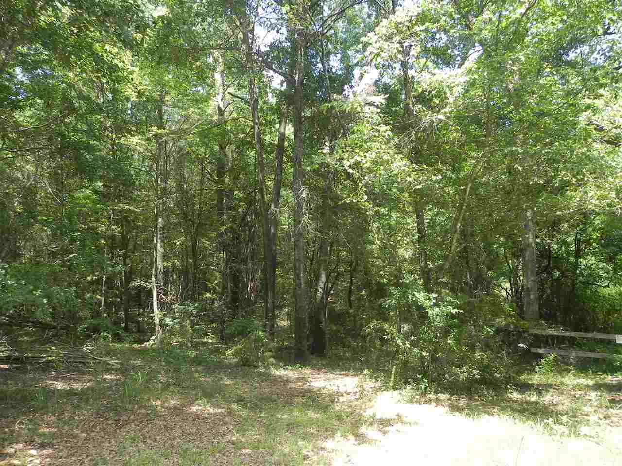Lot 18-1547 Price House Road Roebuck, SC 29376 - Photo 9 of 30