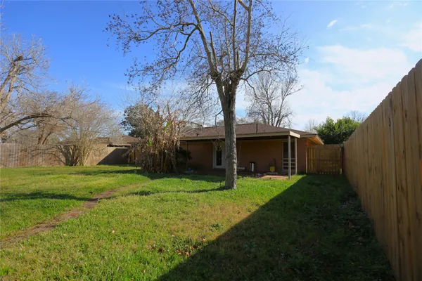 a view of a backyard with large trees
