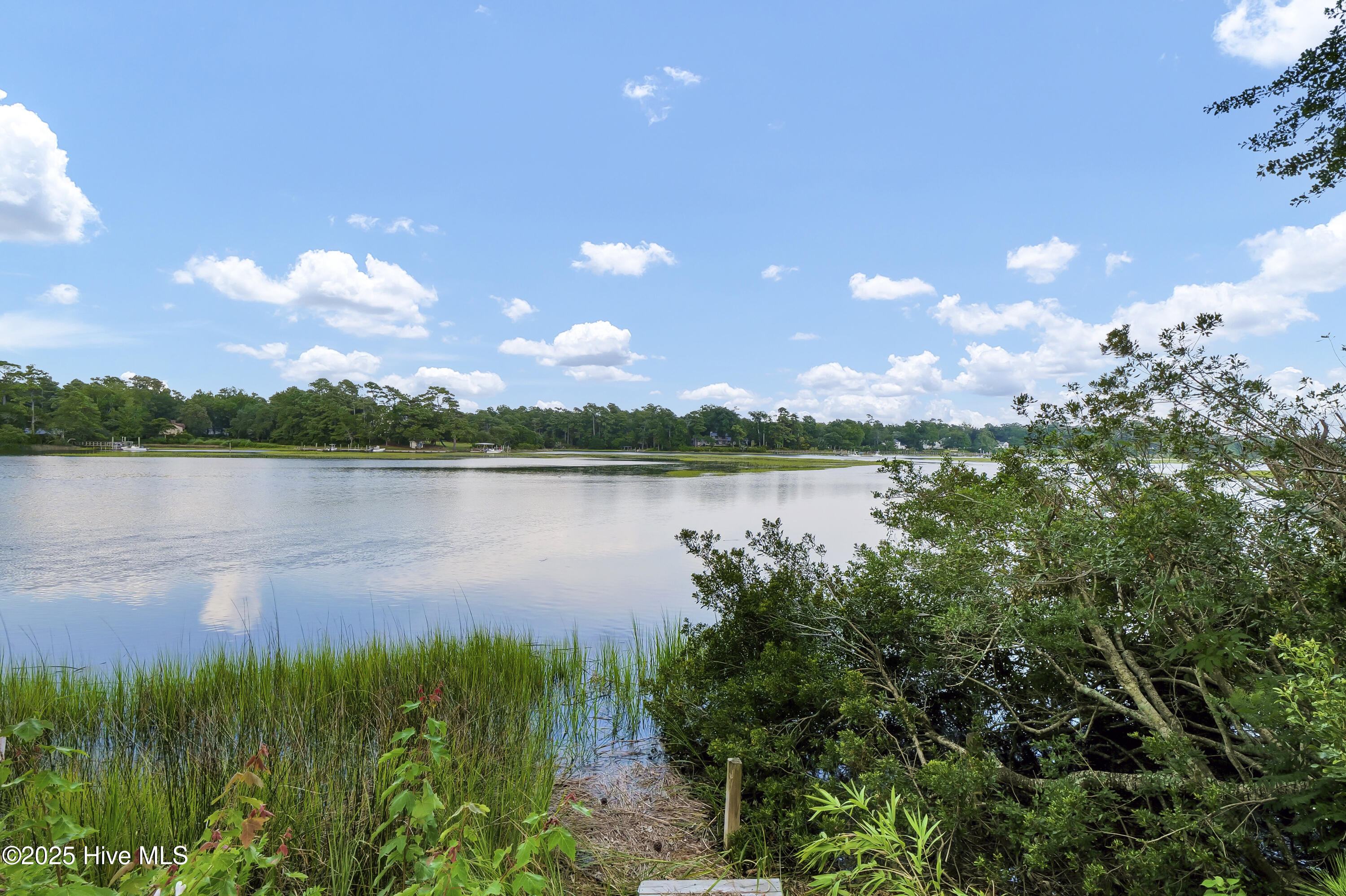 809 Howe's Point Place Wilmington, NC 28405 - Photo 49 of 77 049_p2077087_447