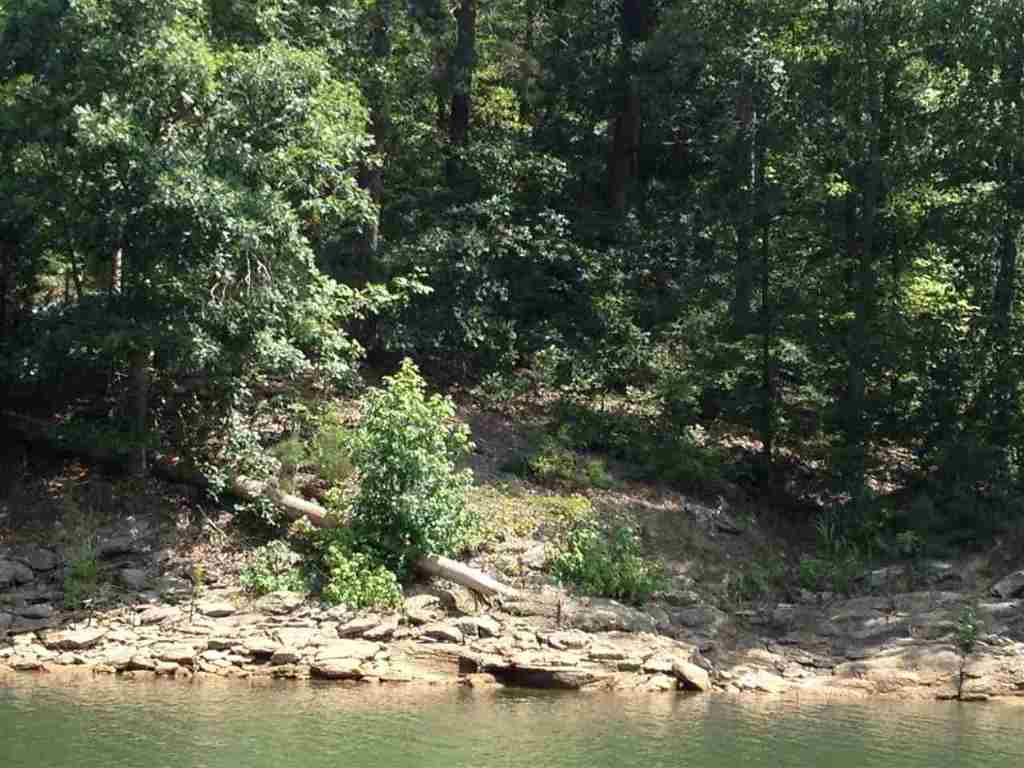 6 Dobbs Lake Road Hartwell, GA 30643 - Photo 12 of 12