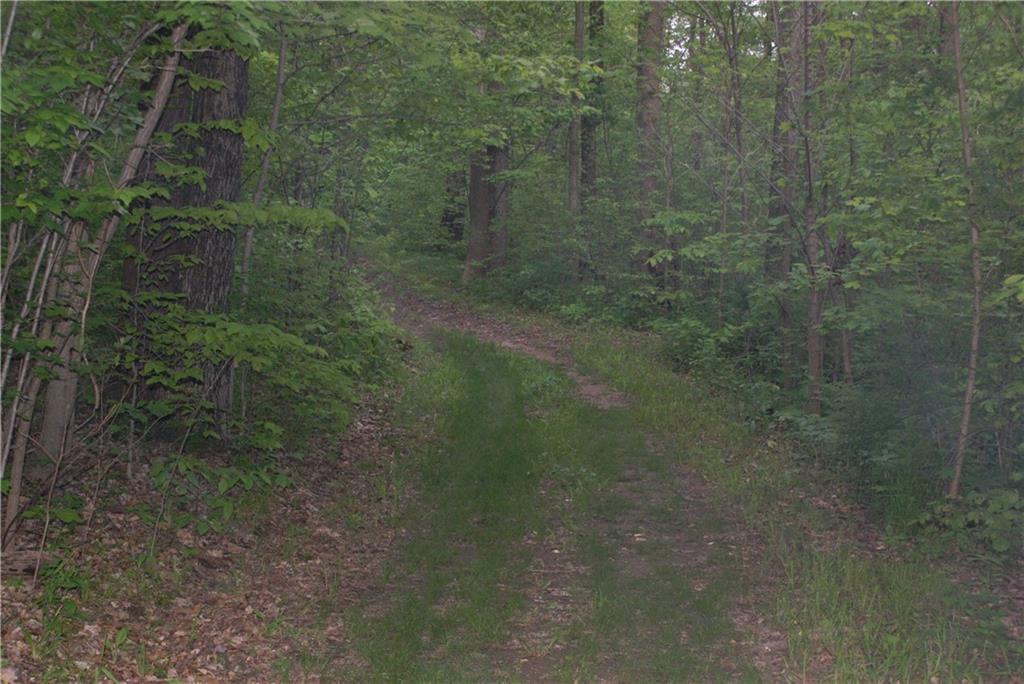 8816 Fallen Rock Road Brazil, IN 47834 - Photo 23 of 42