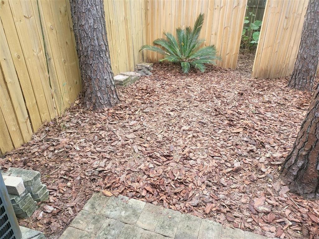 6926 Southwest 45th Avenue Gainesville, FL 32608 - Photo 27 of 28 a view of a yard with a window