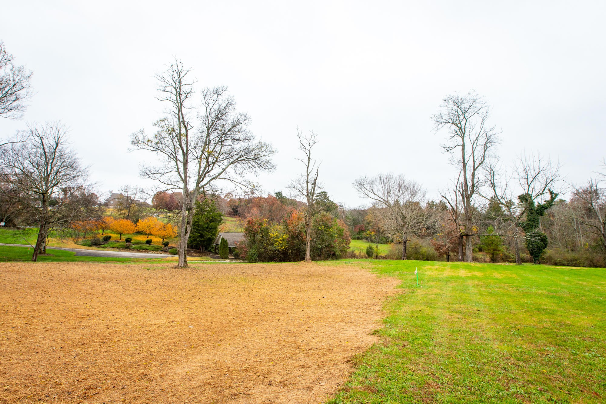 928 Houston Springs Road Greenback, TN 37742 - Photo 28 of 31 a view of an outdoor space and a yard