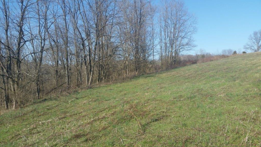 6915 Four Mile Road Winchester, KY 40391 - Photo 14 of 22 Photo 14