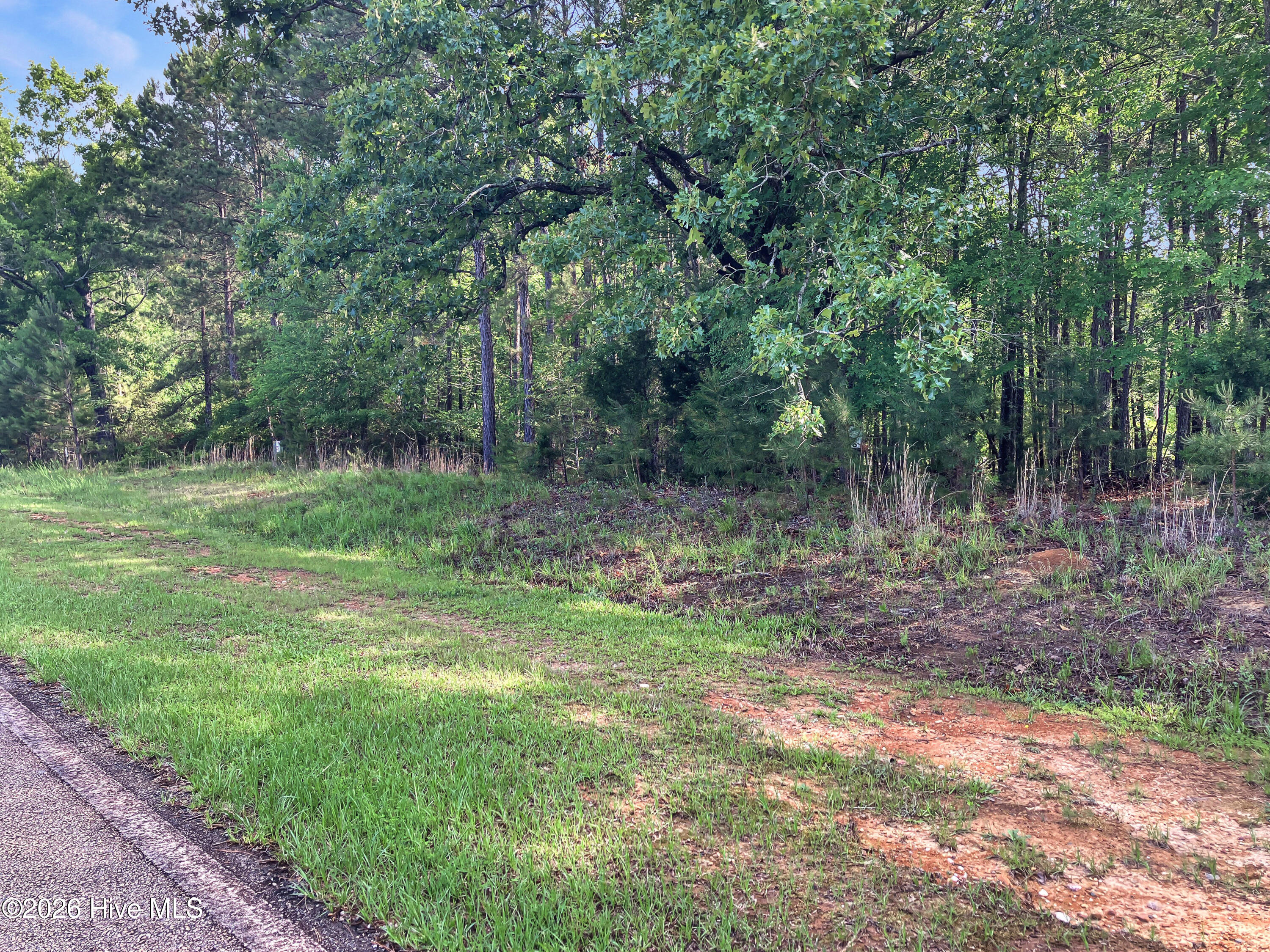 1048 Clinton-Williams Road Lincolnton, GA 30817 - Photo 2 of 5 644653c3bf7c72d0733d4ee7bb39fa9fba4bf8e2