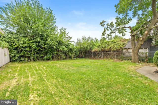 a view of a yard with a tree