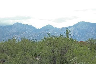 461 East Sun Spring Place Tucson, AZ 85755 - Photo 5 of 10
