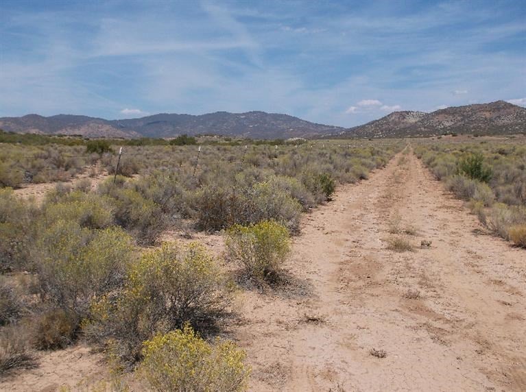 0 Douglas Street Tehachapi, CA 93561 - Photo 5 of 16 Gallery Image 5