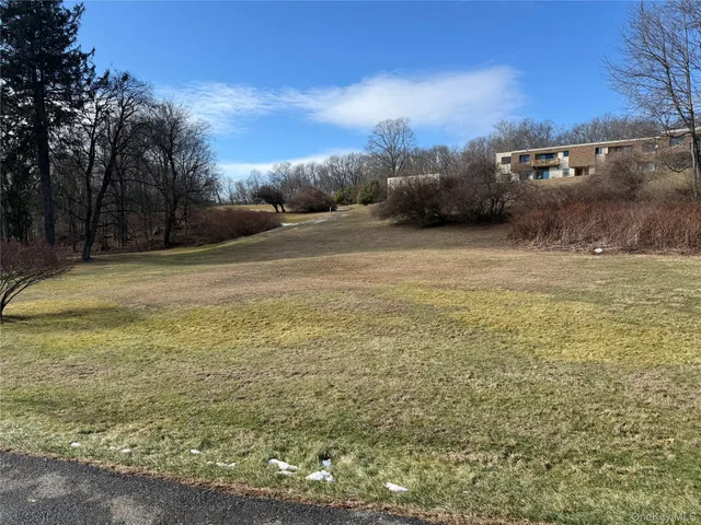a view of a yard with an outdoor space