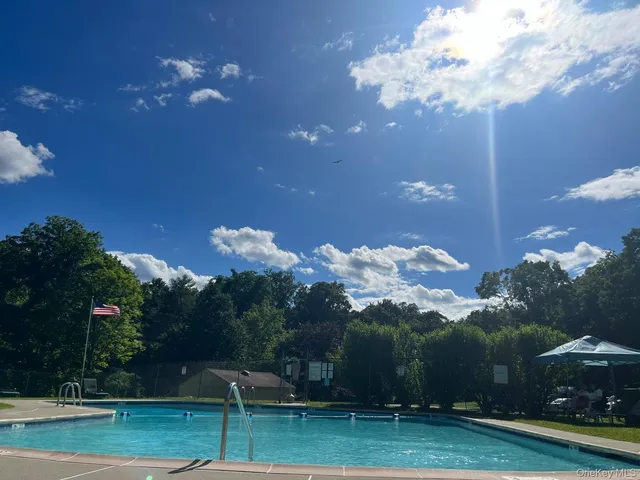 a yard with lots of trees and plants