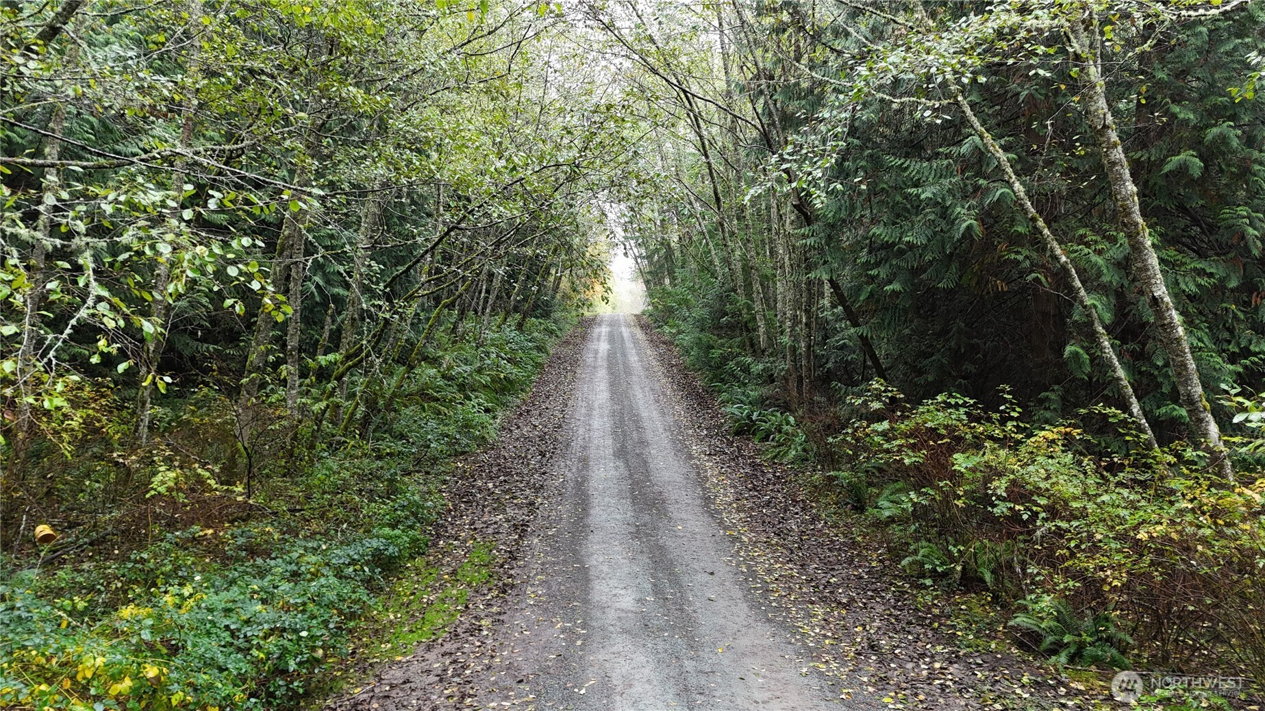 -xxx Jewett Road Clinton, WA 98236 - Photo 6 of 14