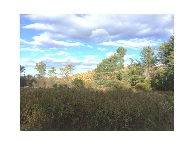 440 Davis Road Durham, ME 04222 - Photo 4 of 4 Land. The tall pine at about 12:00...