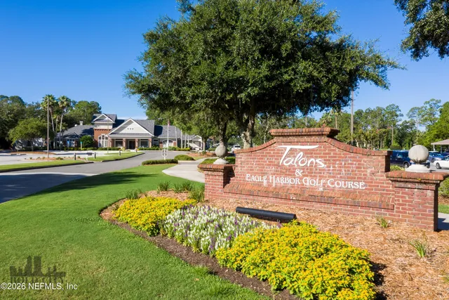 a view of a park with large trees