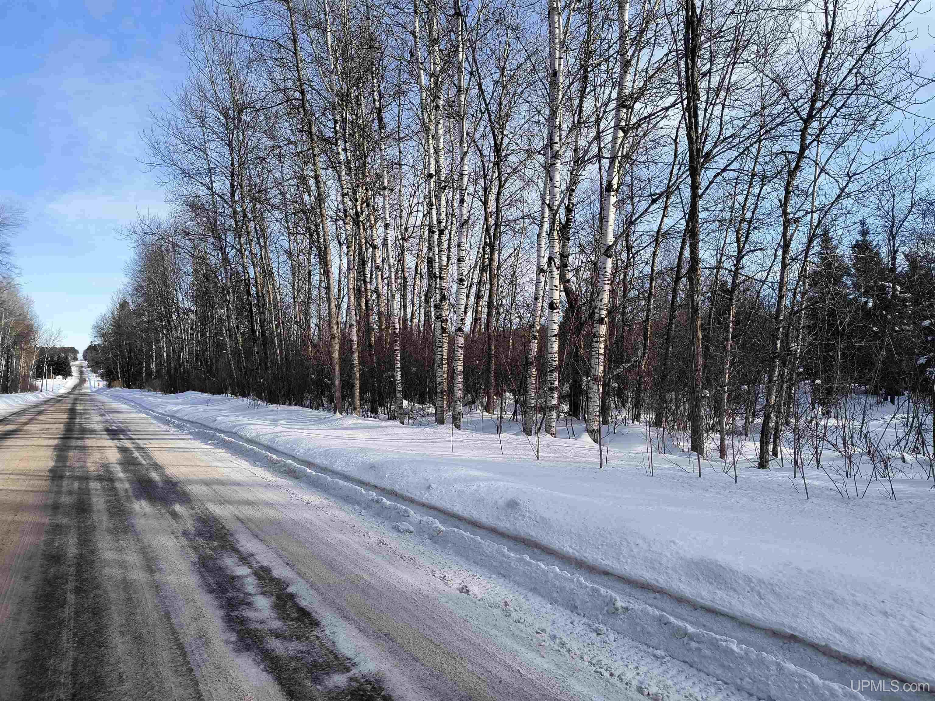 Off Bates Gaastra Road Iron River, MI 49935 - Photo 6 of 7