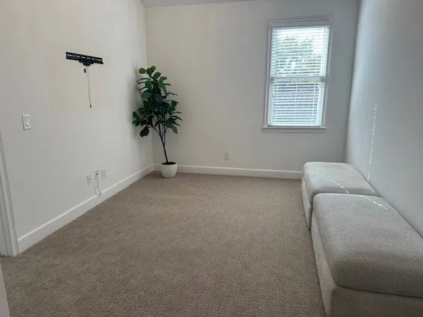 a view of a livingroom with a potted plant