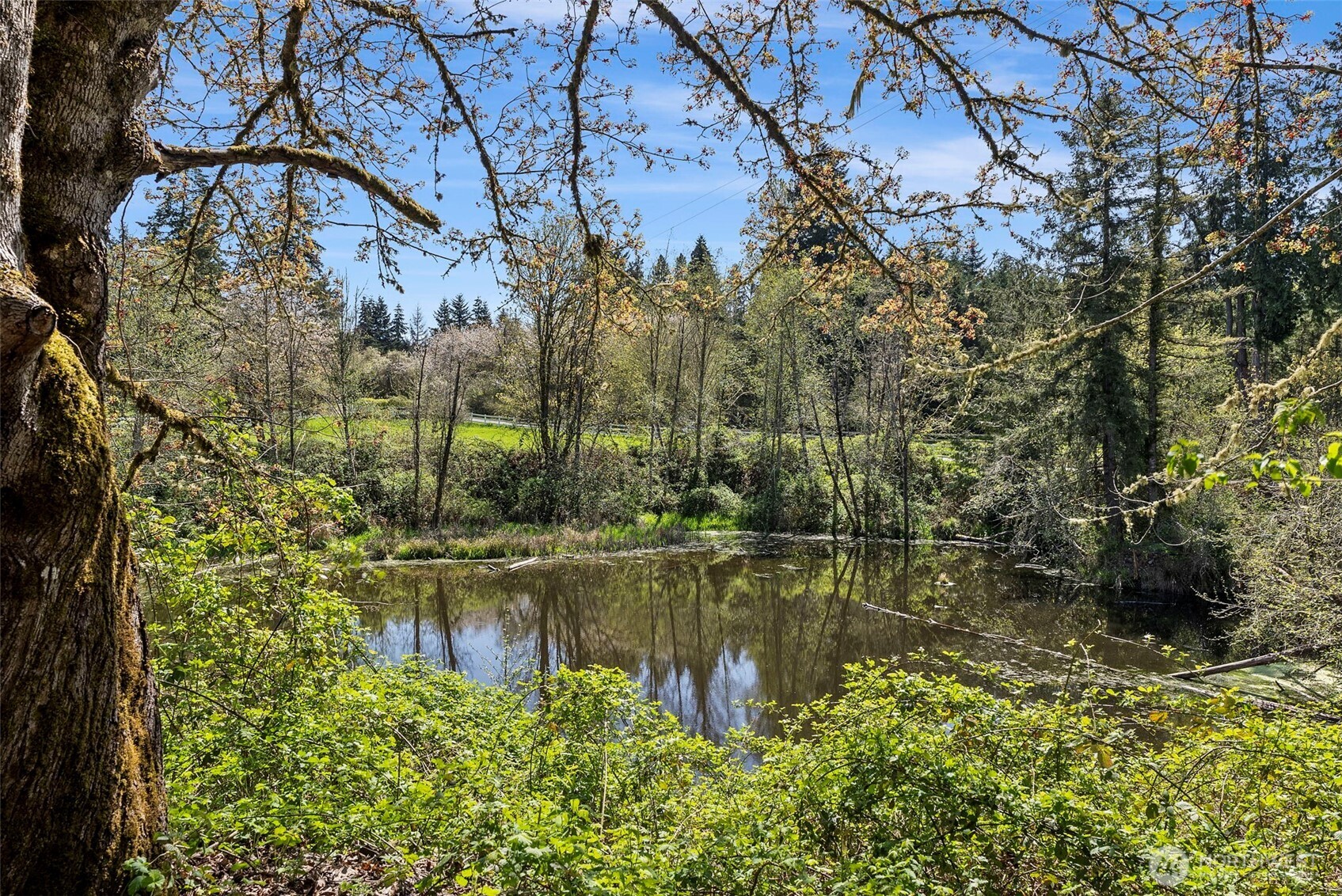 148 Rupp Road Toledo, WA 98591 - Photo 36 of 39