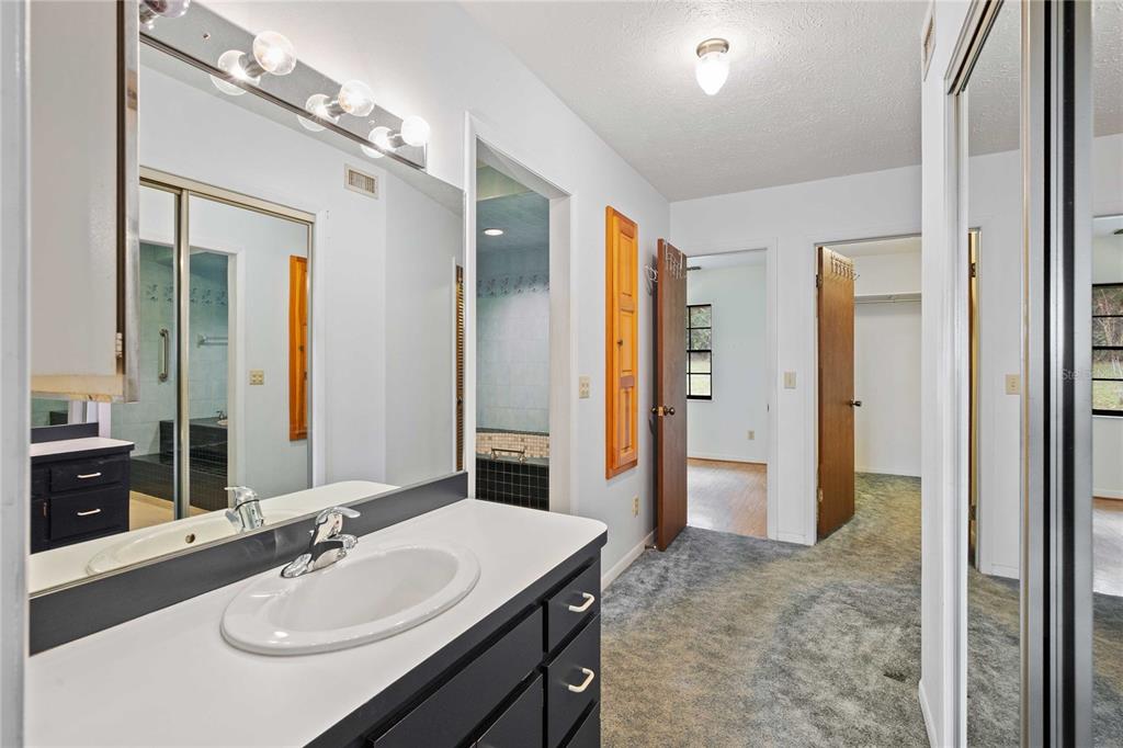 14835 Ramsey Road Dade City, FL 33523 - Photo 30 of 59 a bathroom with a sink double vanity shower and a mirror