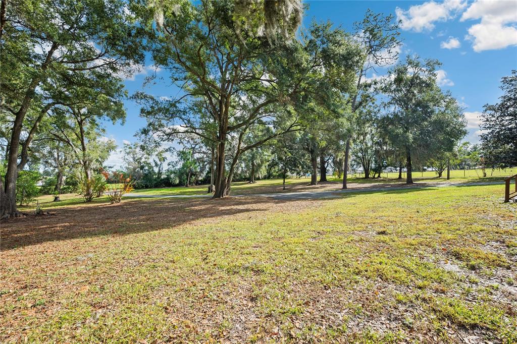 14835 Ramsey Road Dade City, FL 33523 - Photo 46 of 59 a view of yard with trees