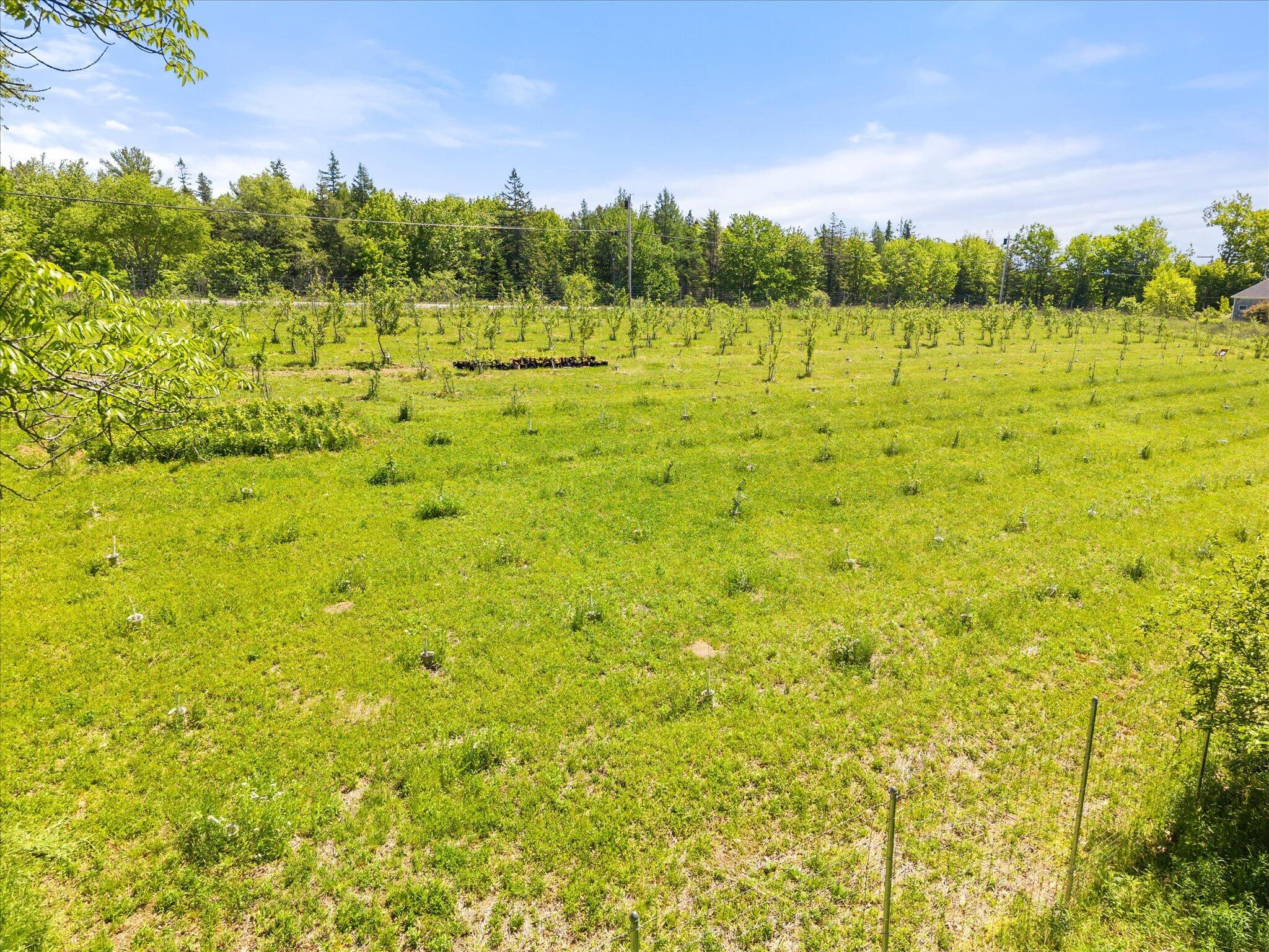 468 Hinckley Ridge Road Blue Hill, ME 04614 - Photo 67 of 74 78-468 Hinkley Ridge Rd