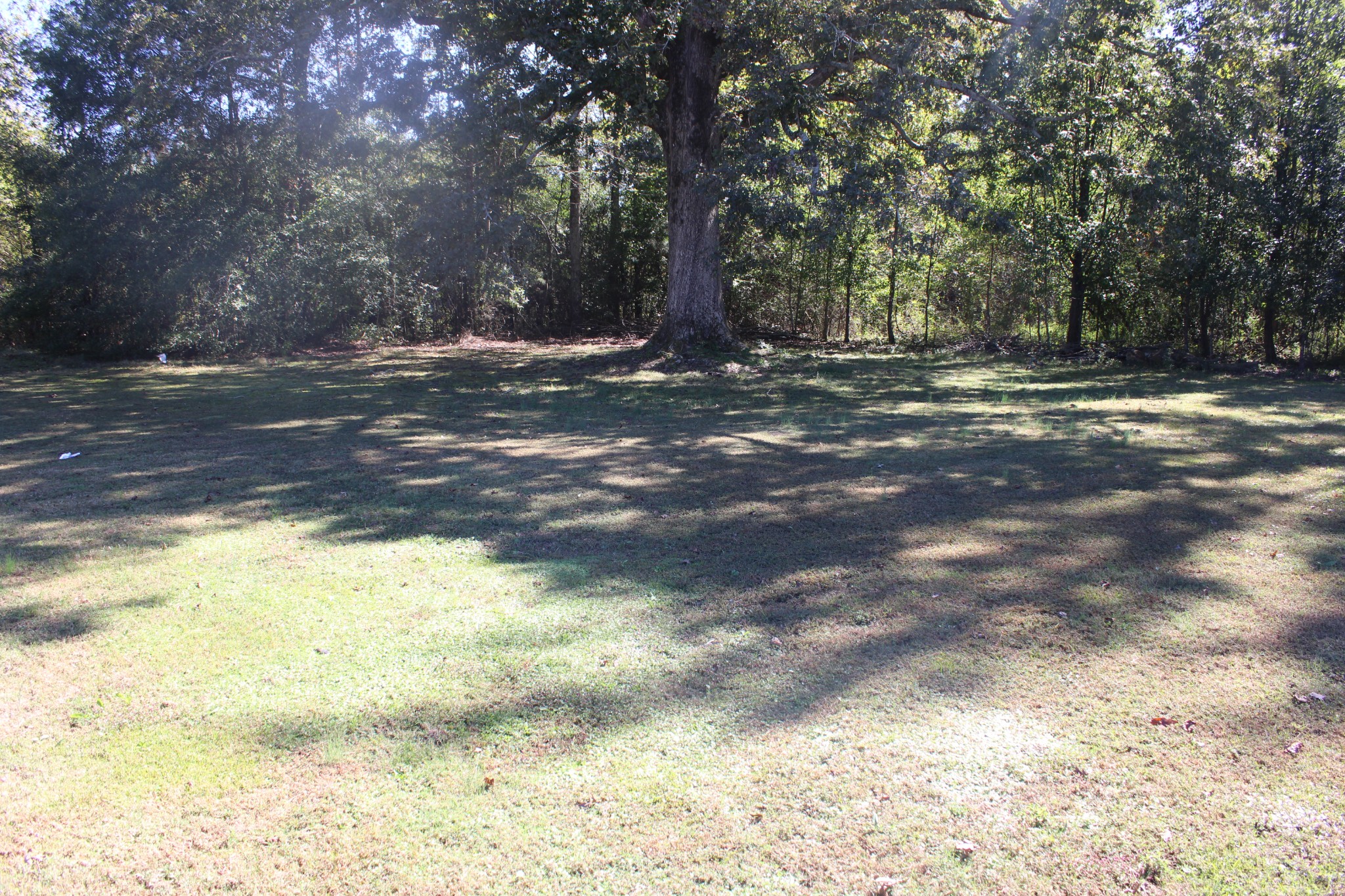 24994 7th Street Ardmore, AL 35739 - Photo 2 of 11 a view of outdoor space with trees