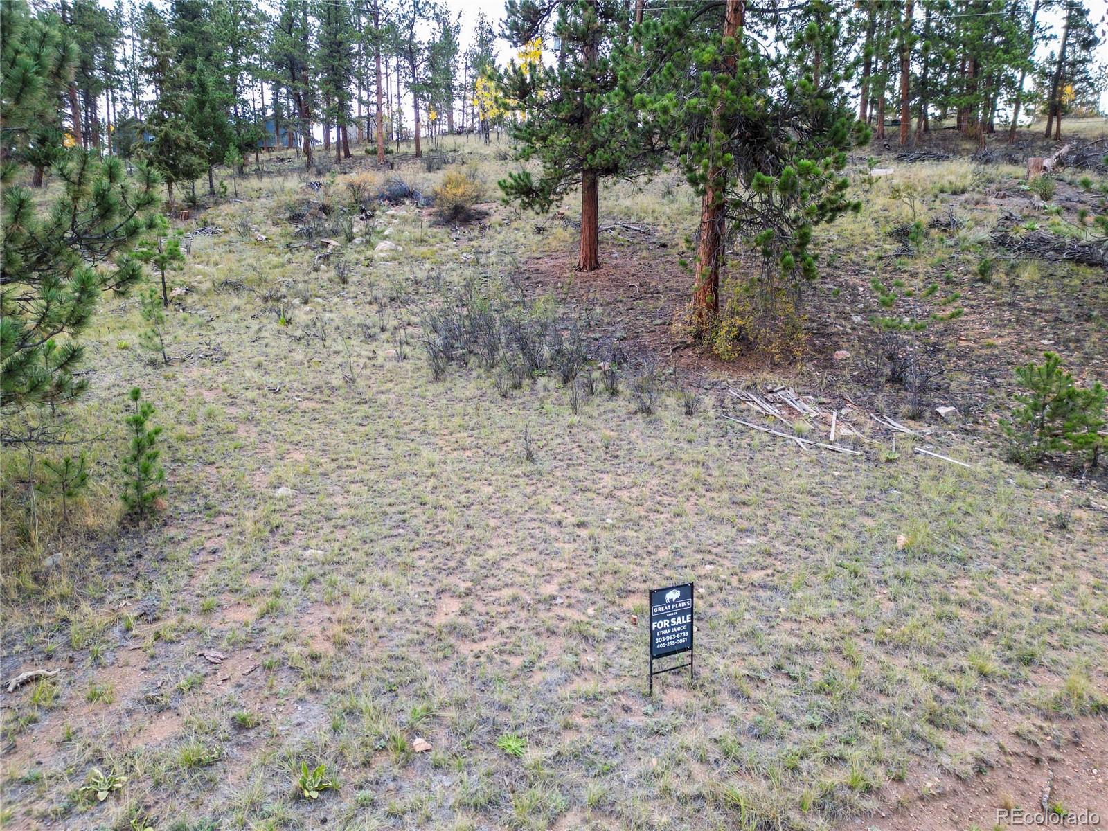 33247 Jenifer Road Pine, CO 80470 - Photo 9 of 20 Gallery Image 9