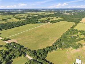 3815 Wills Point Wills Point, TX 75169 - Photo 16 of 19 Adjacent 82AC tract to the west is also for sale