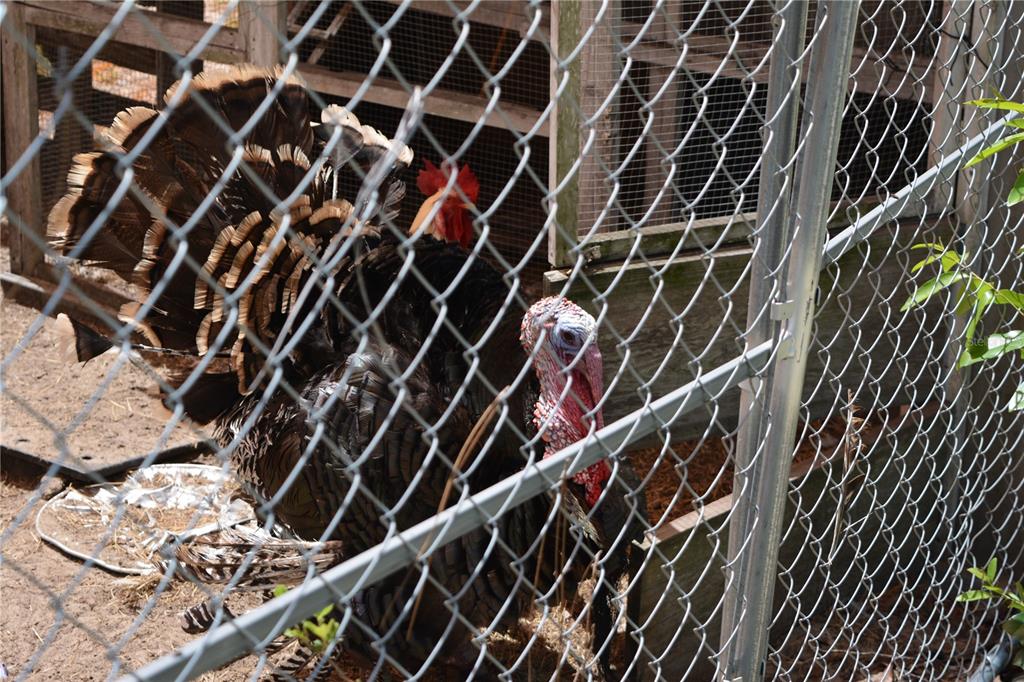 2640 Northeast 74th Street High Springs, FL 32643 - Photo 35 of 39