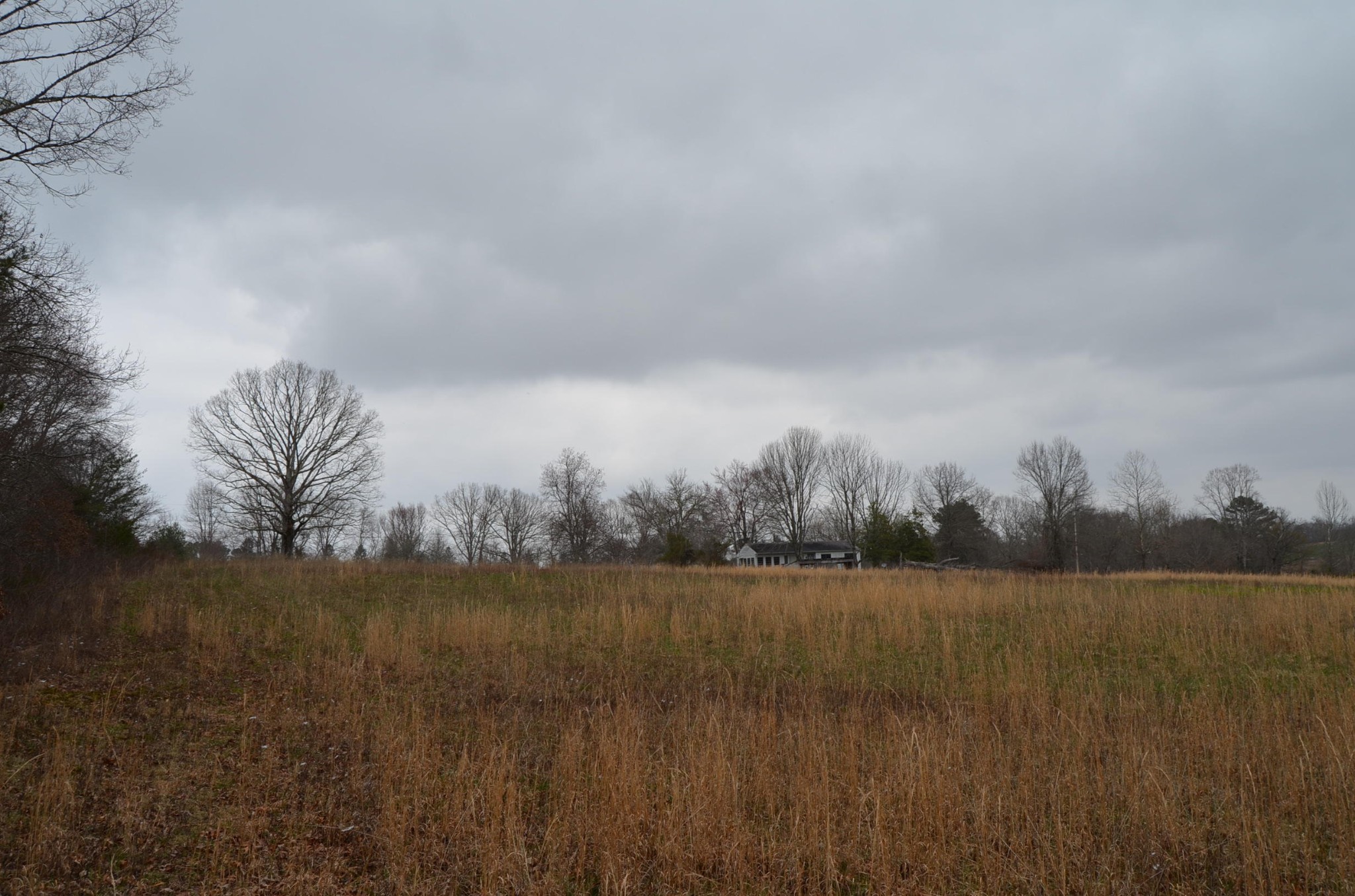 0 Parnell Road Crossville, TN 38572 - Photo 11 of 23 a view of lake