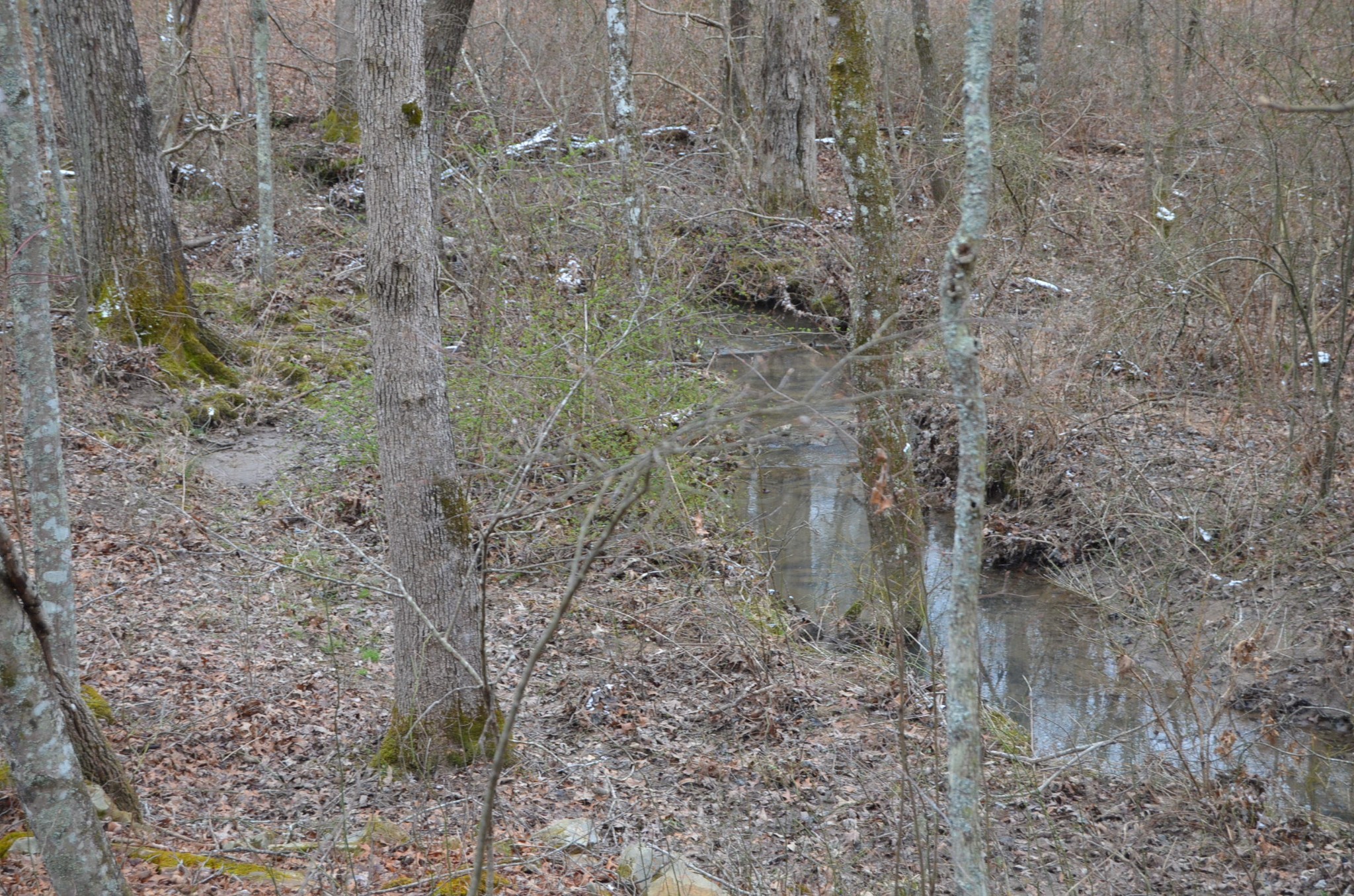 0 Parnell Road Crossville, TN 38572 - Photo 13 of 23 a close up of a wall